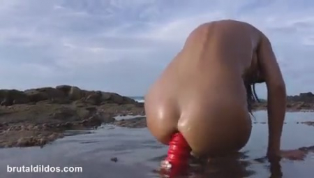 ����� ����: ������ ����� ��������� ��������� 